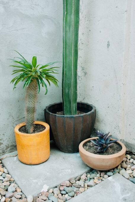 Charming 3Br Oasis, 5 Min Fr Usa - Ac In Every Rm Ciudad Juarez Bagian luar foto
